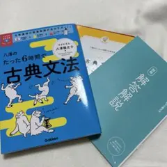 八澤のたった6時間で古典文法