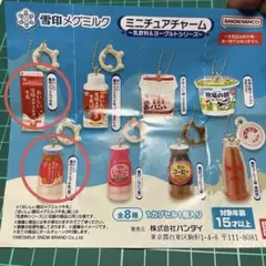 雪印メグミルク　ミニチュアチャーム　乳飲料&ヨーグルトシリーズ