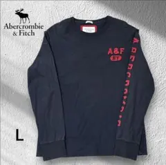 Abercrombie & Fitch 長袖カットソー ネイビー Lのサムネイル