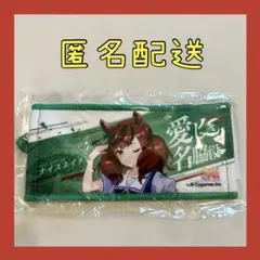 ウマ娘　リアルガチャ　公式応援ミニタオル　キーホルダー　ナイスネイチャ