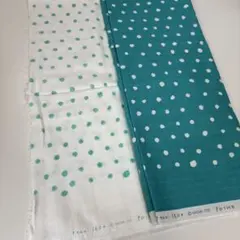 Item thumbnail for item c9d7f8ed-08ca-41c7-8a9b-79c6586e727a