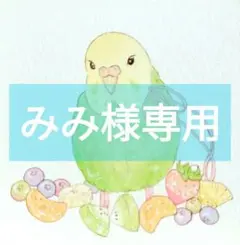 kaako様専用 『中型インコ用ブランコ』No.1460 - メルカリ