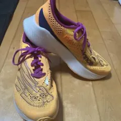 FuelCell RC ELITE v2 26.5センチ