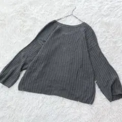 ジャーナルスタンダード 麻100 リブニット Vネック リネン グレー 洗える