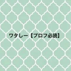 ワタしー【プロフ必読】様専用