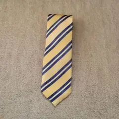 エルメネジルドゼニア　ストライプデザイン ネクタイ