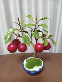 クラフト盆栽 姫林檎 ミニ盆栽 赤い実 ハンドメイド 造花のサムネイル