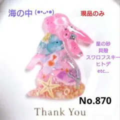 レジン 猫 エンゼルフィッシュ ヘアゴム ブローチ ポニーフック No.873