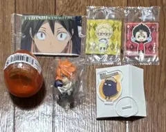 ハイキュー‼︎ 烏野高校　セット