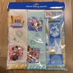 東京ディズニーリゾート ミニタオル3枚セット