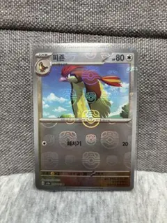 【希少・韓国版】ポケモンカード 151 ピジョン マスターボールミラー sv2aのサムネイル
