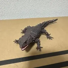 いきもの大図鑑　アルマジロトカゲのサムネイル