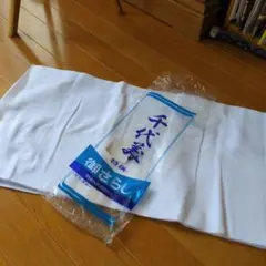 Item thumbnail for item 1cf72a1b-ebd4-4f6f-aabf-093a4059e22a