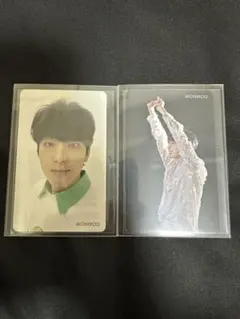 ◉seventeen hmv 特典 トレカ 舞い落ちる花びら ウォヌ 2枚