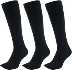 Item thumbnail for item e59facc6-668c-4445-8182-c888fdd913d1