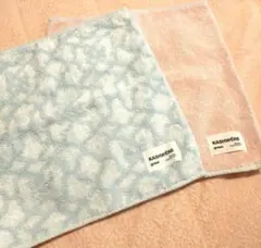 Item thumbnail for item 8b710f75-6174-49f1-ae57-2c49b20de325