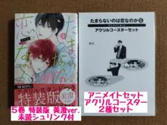 たまらないのは恋なのか5 特装版 美澄ver.◆空華みあ◆アクリルコースター