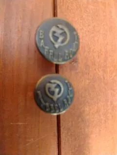 Item thumbnail for item 14b74491-7256-40c8-90f4-4ddb48dbf689