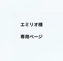 エミリオ様　専用ページ