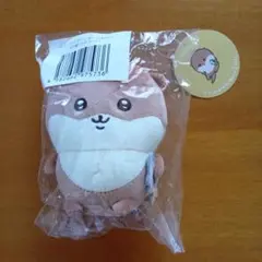 ナガノマーケット　くじ