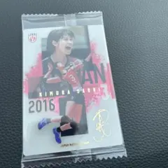 バレーボールウエハース木村さおり