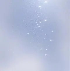 確認ページ