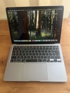 MacBook Air M1 8GB 256GB バッテリー良好 充放電65回