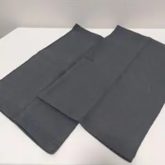 ［テイジン］吸湿発熱ボディウォーマー（腹巻）2セット