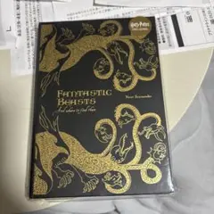 教科書表紙　ファンタビ　魔法使いの旅ノート ミナリマ　ファンタスティックビースト