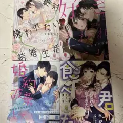 【198】TL小説4冊セット