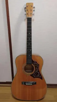 ロジェ 170アコースティックギター - メルカリ