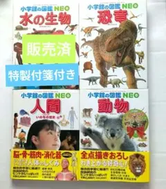小学館の図鑑NEOシリーズ 10冊セット まとめ売り DVD無 - メルカリ