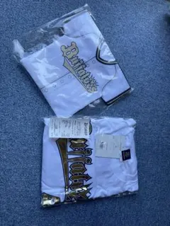 Item thumbnail for item e8e96ca3-5bef-4a03-8b66-4b7de1279c86