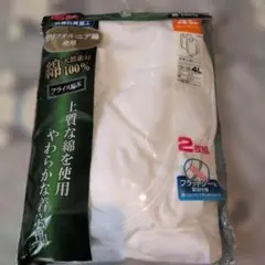 綿100% カリフォルニア綿 1枚組 Tシャツ 4L