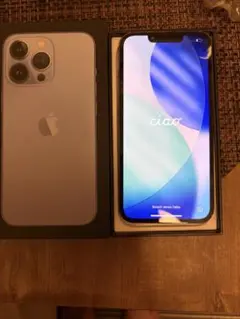 Apple iPhone 13 Pro 本体　256GB ジャンク