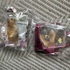 Dr.Marmot アクリルキーホルダー 2種セット