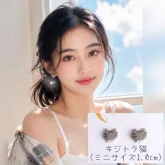 1cm✧*。ちいかわにゃんこ キジトラ猫 ピアス イヤリング