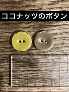 Item thumbnail for item 16bfff1e-d02e-4368-a8da-52138f362810