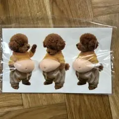 みどり猫様　トイプードルおなかシール