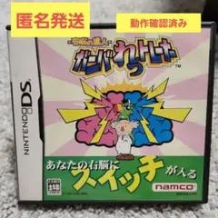 右脳の達人 ガンバれっトレーナー DS 匿名発送 動作確認済み