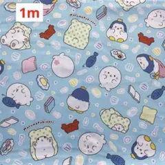 Item thumbnail for item 85db475f-833f-4018-832c-7c859c0cffda