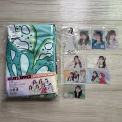リ*ク様 FRUITS ZIPPER フード付きタオル 櫻井優衣など