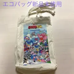 エコバッグ ラザダランシンガポール