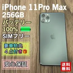 新品液晶バッテリー】iPhone12Pro パシフィックブルー 512GB - メルカリ