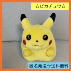 2025年最新】初期ピカチュウ おしゃべりの人気アイテム - メルカリ