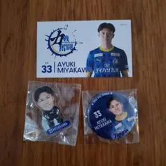 Item thumbnail for item b745d2d9-af47-439f-9b03-9920e128fe4e