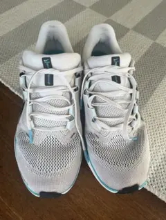 Nike ペガサス41 27センチ