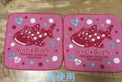 Item thumbnail for item 6f81d71f-22ba-444d-b02f-2cf13055e5c8