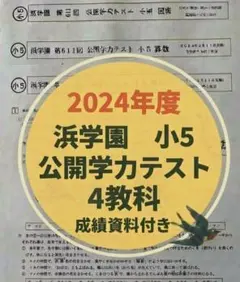 本日のみ値下げ❗祝❕合格値下げ❕浜学園　【最新版】無記入☆小５　算数セット 2026年最新】浜学園 小5の人気アイテム - メルカリ
