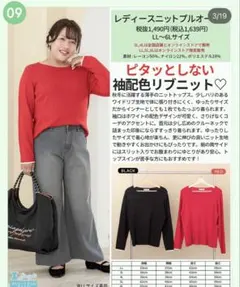 【11/30削除⚠️最終値下げ】 Hina ニットプルオーバー 3L レッド